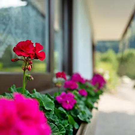 Haus Schindler * Ottenhöfen im Schwarzwald