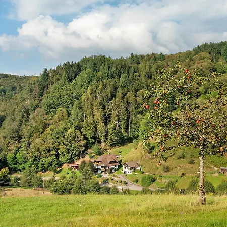 Haus Schindler Apartment *